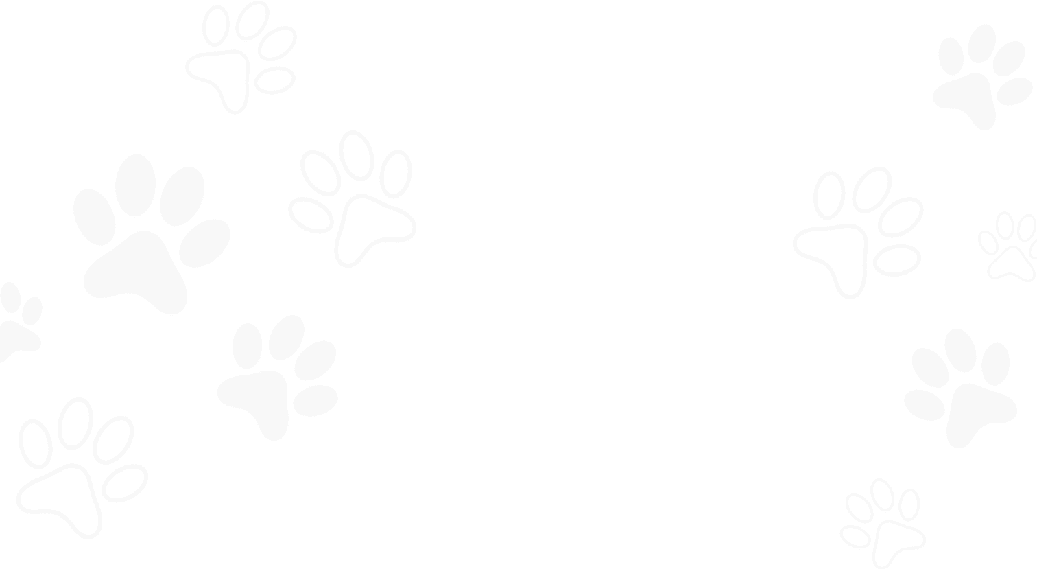 Section Background Desktop